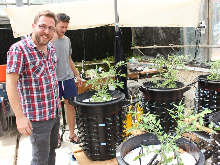 Schwarz is working with German colleagues to research how roots behave in times of drought.