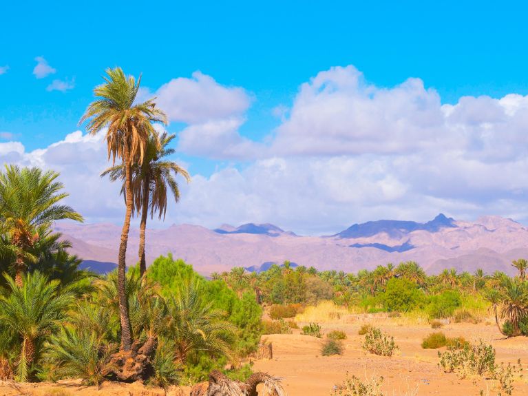 A região de Souss-Massa em Marrocos.