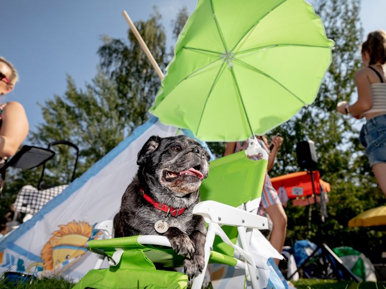 The hot summer took a lot out of many people, animals and nature.