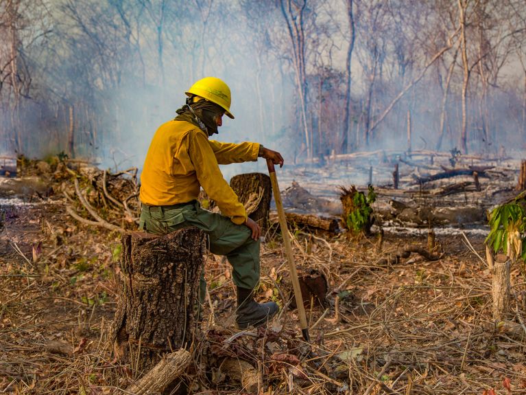  2019 zerstörten Rodungsfeuer große Teile des Amazonas Regewaldes.
