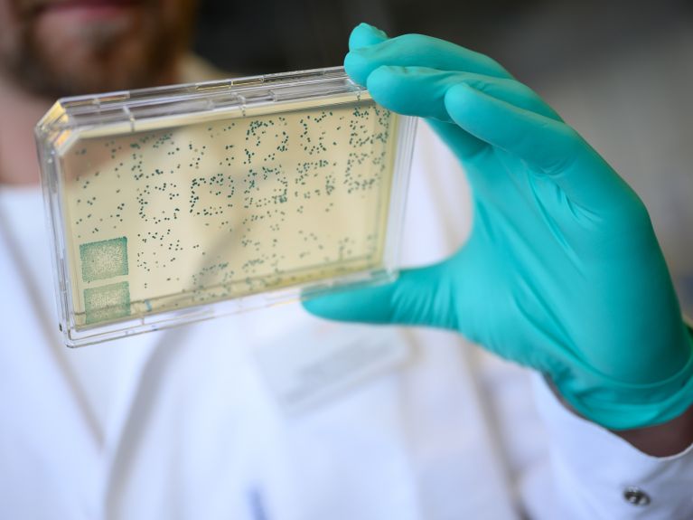 Trabajo en el laboratorio de CureVac, en Tubinga