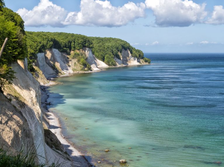 Kreidefelsen auf der Insel Rügen