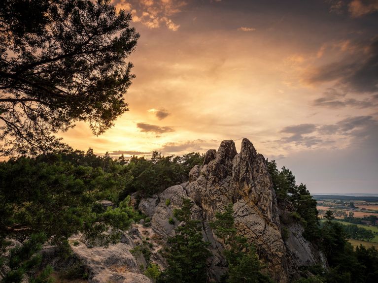 Teufelsmauer im Harz