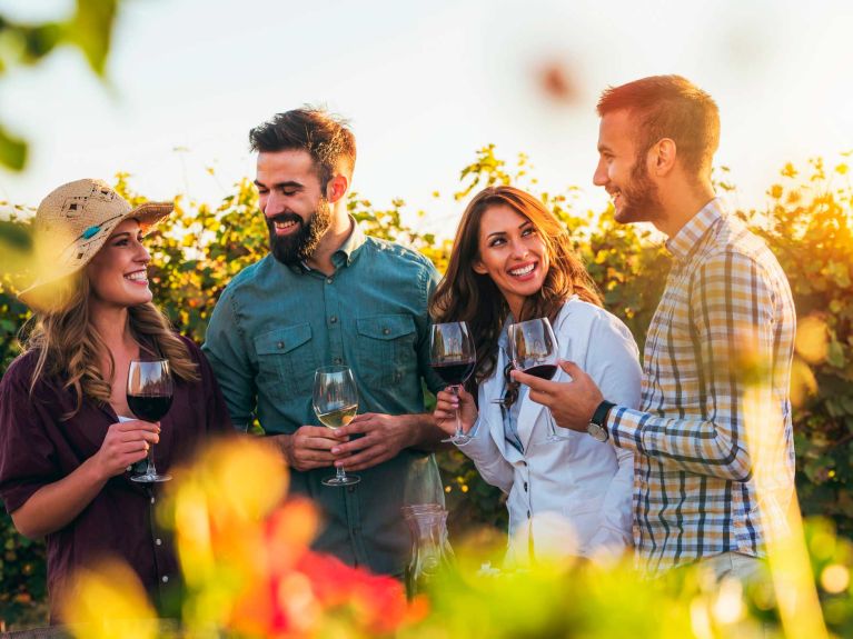 Happy friends having fun drinking wine at winery vineyard