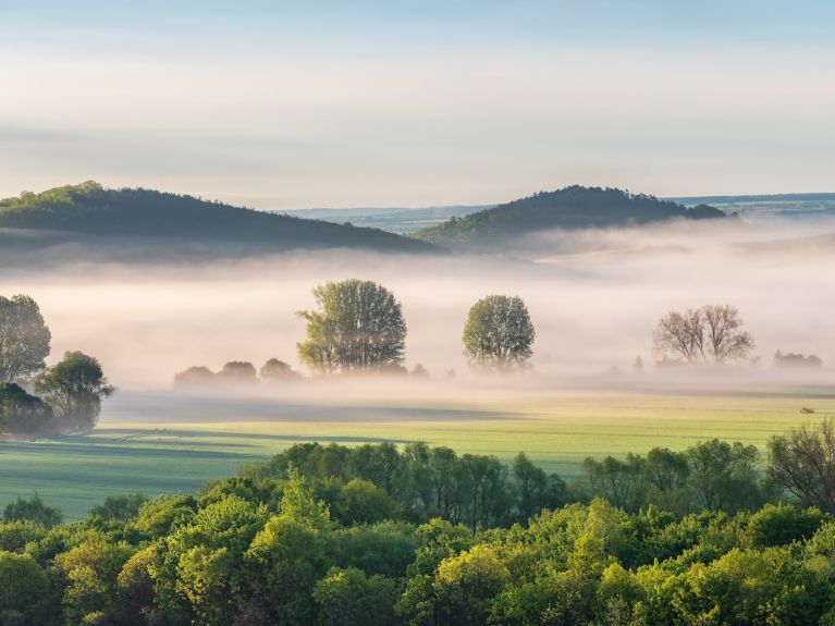Landschaft mit Nebel, Bäumen und Hügeln.