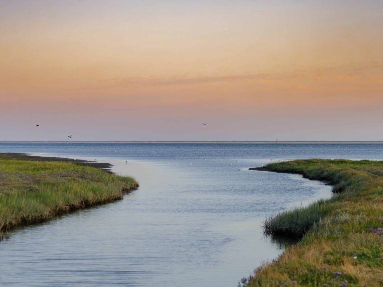 Wadden Sea near Sankt Peter-Ording
