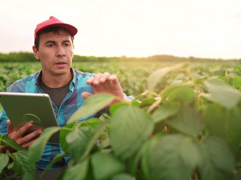 Farmer in einem Sojafeld