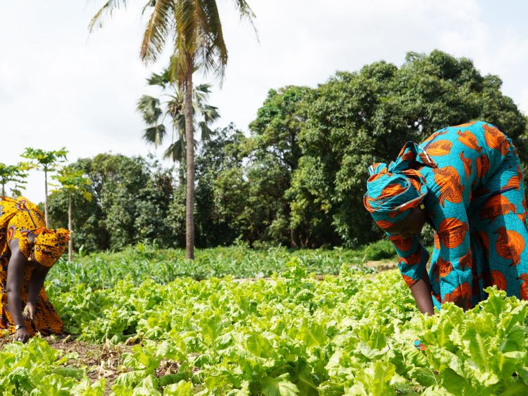 Innovative Farmer