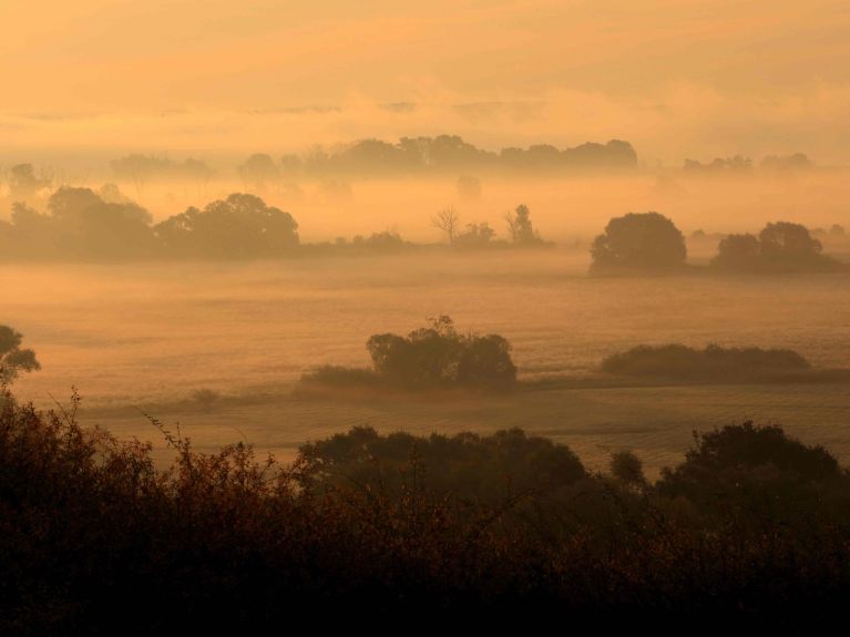 Morgenstimmung im Nationalpark Unteres Odertal Morgenstimmung im Nationalpark Unteres Odertal