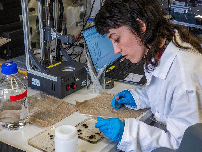 Wissenschaftliche Arbeit im Artenentdeckungslabor des Berliner Museums für Naturkunde