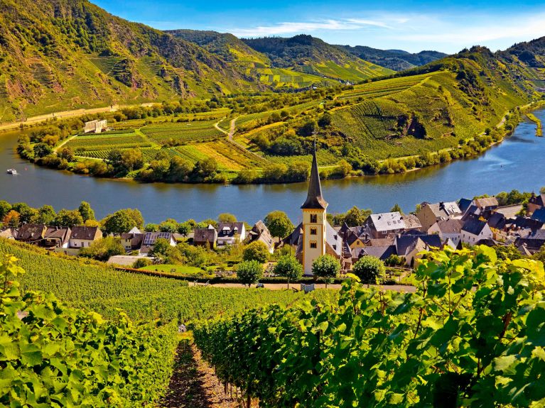 Blick vom Bremmer Calmont auf die Moselschleife