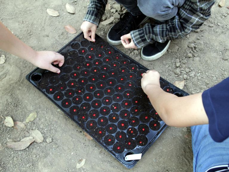 Projektarbeit im Wald. 