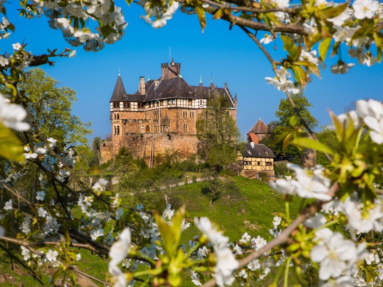 El Castillo Berlepsch en Witzenhausen