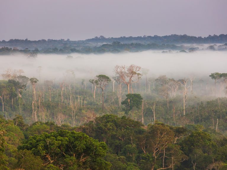 Factors in climate protection: Amazon rainforest in Brazil 