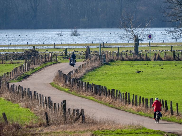 Inundación en las llanuras aluviales por la crecida del Rin