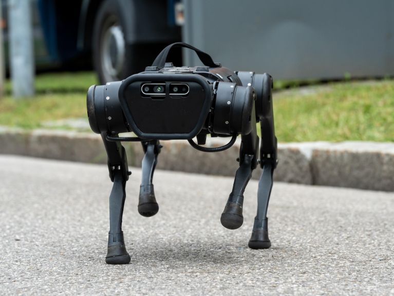 A walking robot