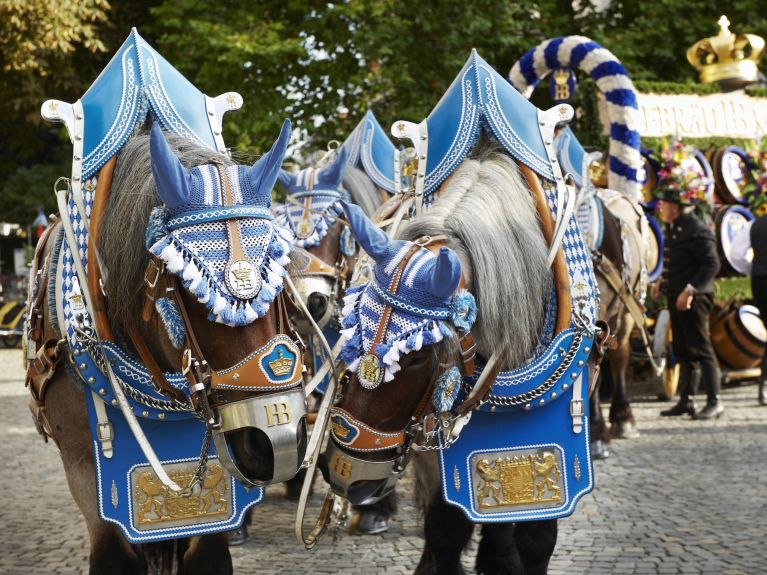 Horses in a procession