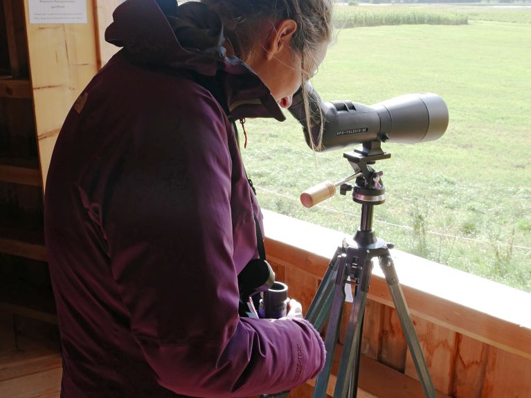 Nature studies come to life: Young people observe the birds with professional equipment