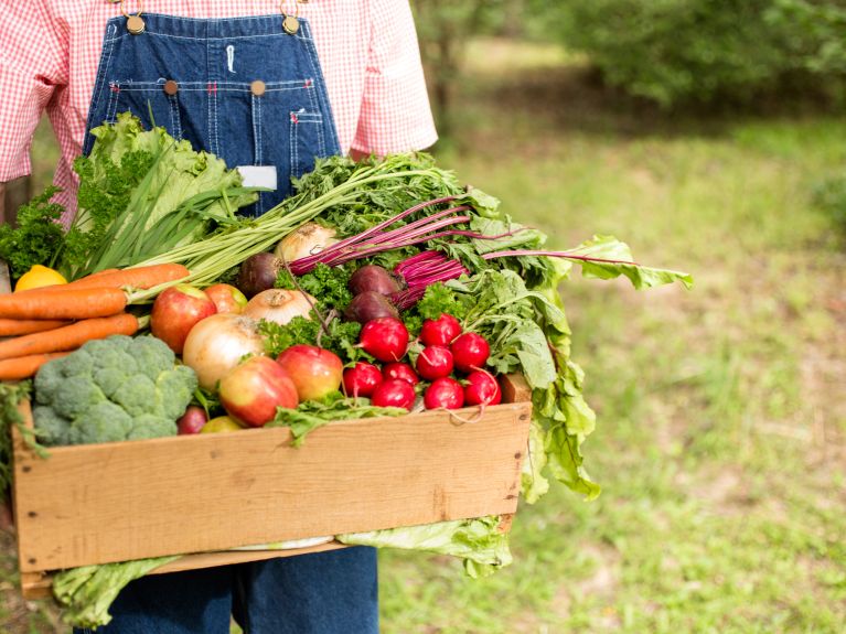 There are roughly 30,000 organic farms in Germany.