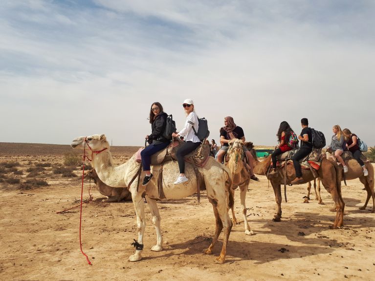 Highlight for the pupils: camel riding on the Egyptian border 
