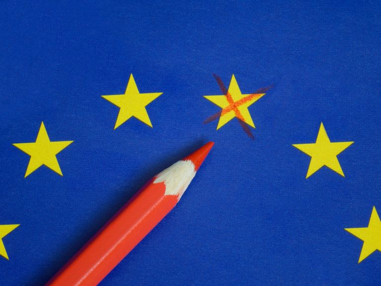 الانتخابات الأوروبية 2019: المشاركة في صنع سياسة الاتحاد الأوروبي.