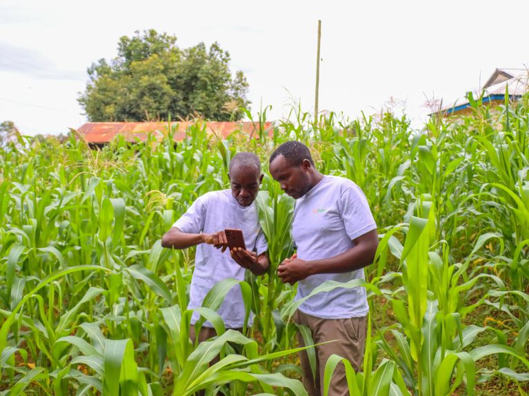 Over half of Kenya’s workforce is earns their living from agriculture.