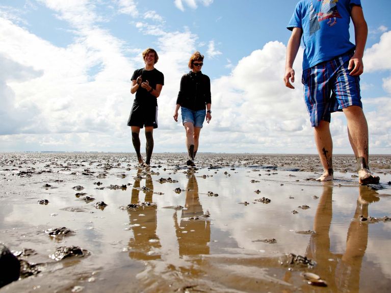 Freiwilliges Ökologisches Jahr: In der Natur fürs Leben lernen.