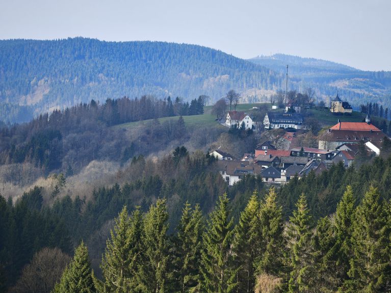 Wald in Deutschland: der Harz