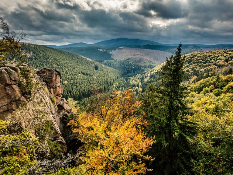 Parque Nacional de Harz 