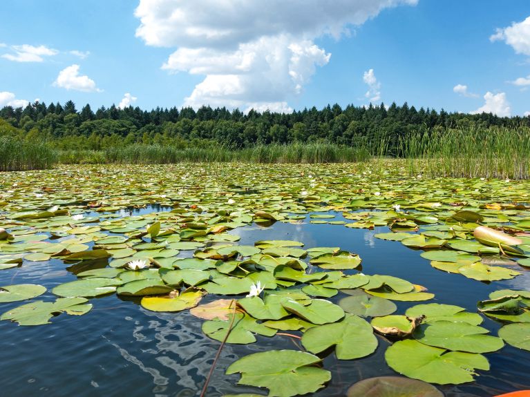 Naturschutzgebiete in Deutschland