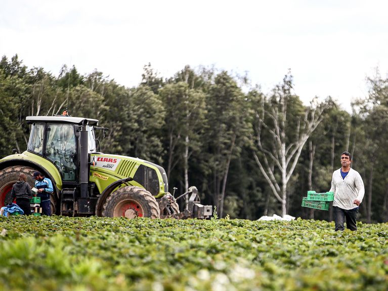 Russische Landwirtschaft: auch hier gibt es europäischen Austausch Russische Landwirtschaft: auch hier gibt es europäischen Austausch
