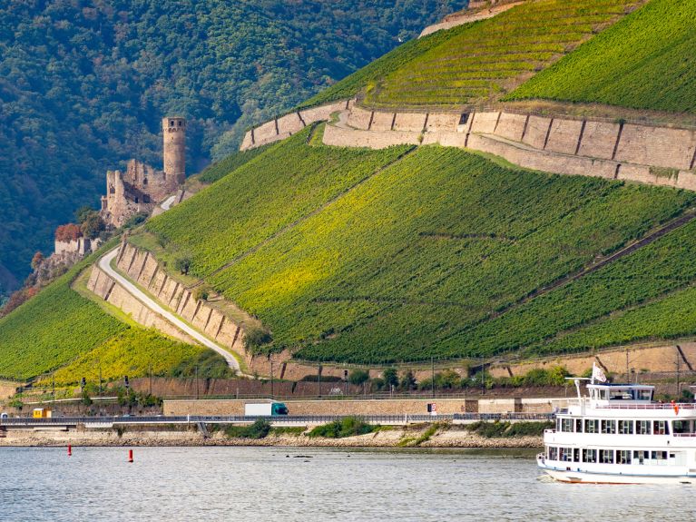 Weinbau am Mittelrhein bei Bingen