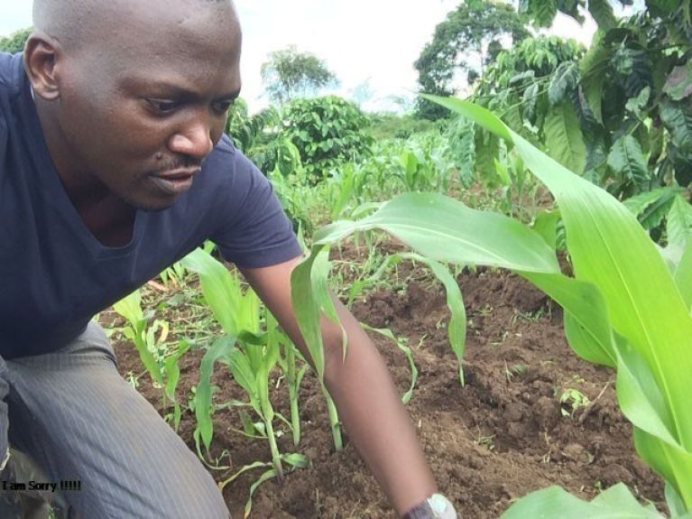 Uganda National Young Farmers Association Uganda National Young Farmers Association