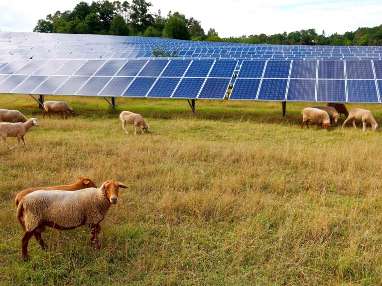Fotovoltaica: la cuota en Alemania fue del 14 % en 2024. Fotovoltaica: la cuota en Alemania fue del 14 % en 2024.