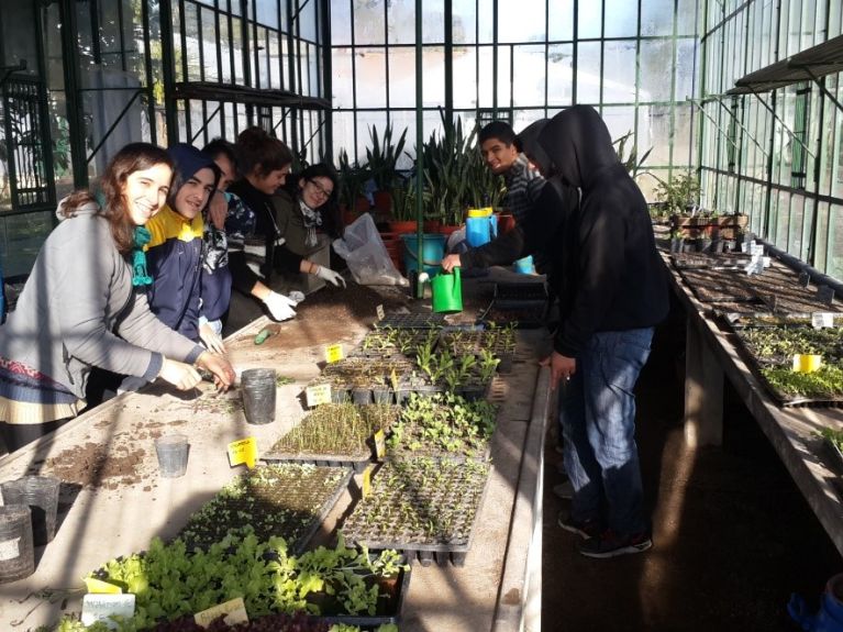 Educational project – Hydroponic cultivation