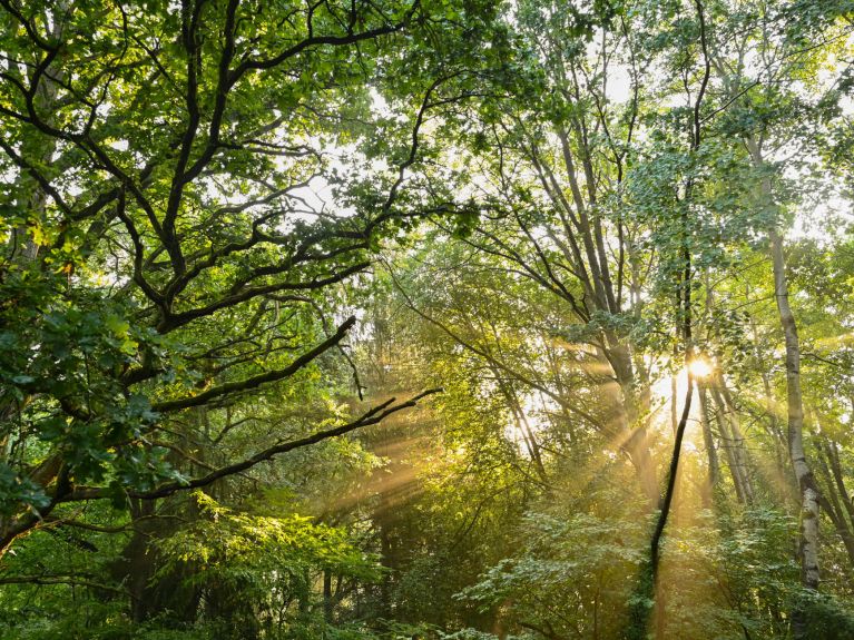 Impression aus dem Nationalpark Unteres Odertal 