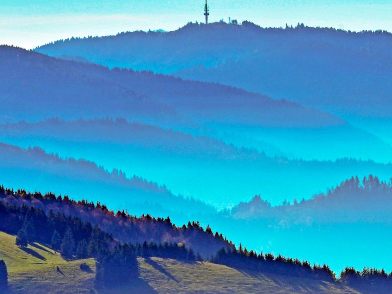 Romantic Black Forest landscape