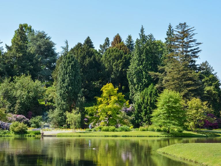 Starodawny ogród botaniczny zdobi sztuczną wyspę Siebenbergen.