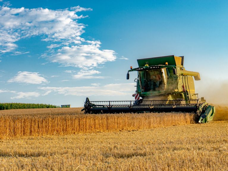 الحبوب هي أهم المنتجات الزراعية في ألمانيا. 