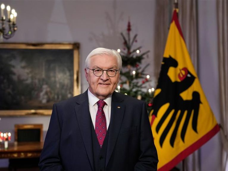 Bundespräsident Steinmeier 