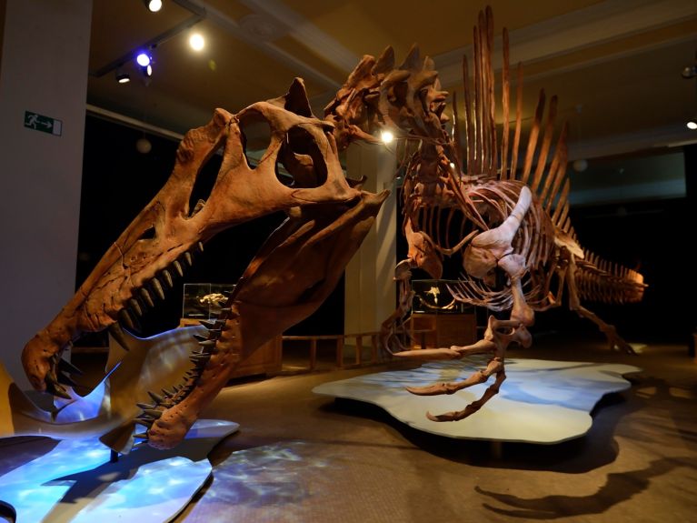 Réplica del esqueleto de un dinosaurio depredador en el Museum für Naturkunde de Berlín 