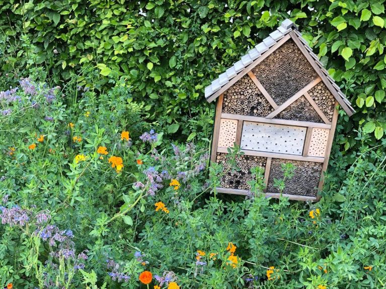Bee hotels are made of clay, stone or wood. Tubes that have already been used are cleaned by the bees themselves and re-covered.