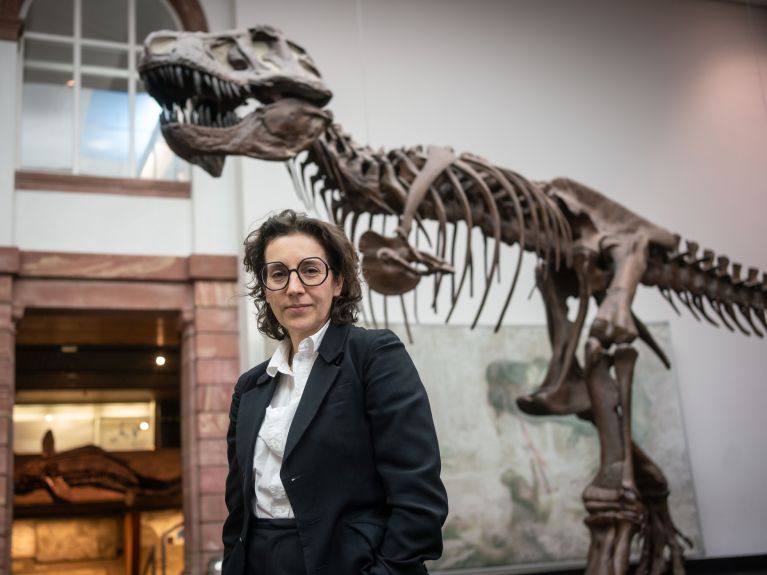 Brigitte Franzen, director of the Senckenberg Museum