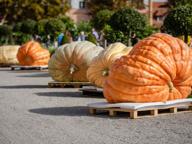October: Pumpkin exhibition in Ludwigsburg