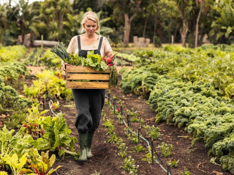 Die Regierung will nachhaltige Ernährung fördern. Die Regierung will nachhaltige Ernährung fördern.