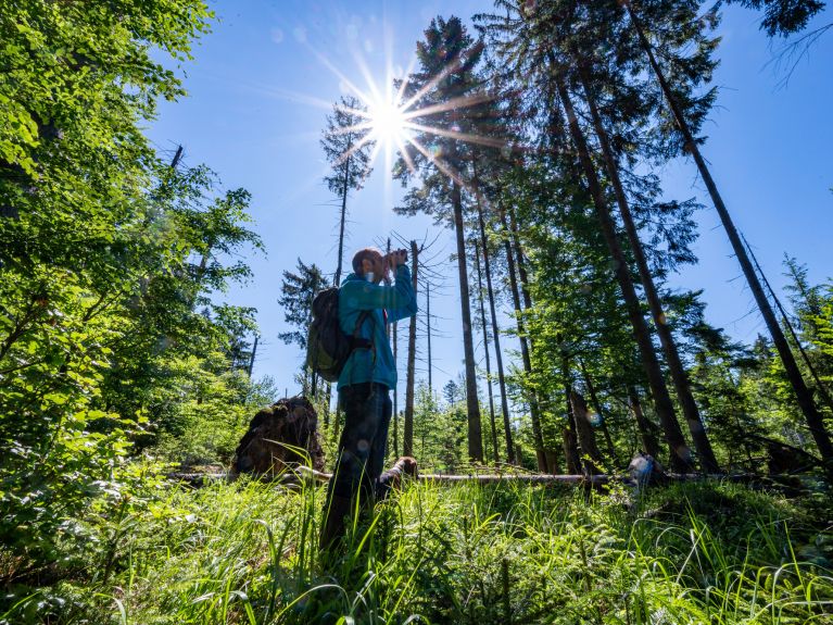Os turistas podem apreciar a natureza selvagem dos parques nacionais. Os turistas podem apreciar a natureza selvagem dos parques nacionais.