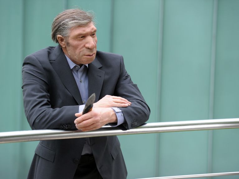 Neanderthals in the exhibition – they lived from 130,000 to 30,000 years ago.