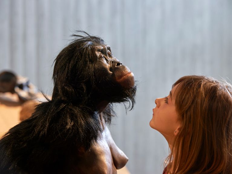 „Lucy“, Australopithecus afarensis, żyła 3,2 mln lat temu.