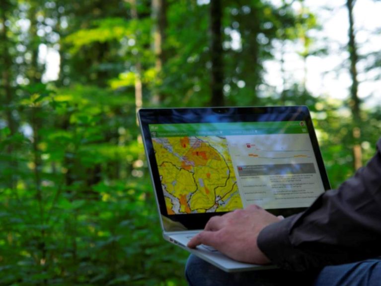 يُخطِّط مشروع فيوتشر فورست لإنشاء غابات قادرة على التكيُّف مع المناخ بمساعدة الذكاء الاصطناعيّ. 