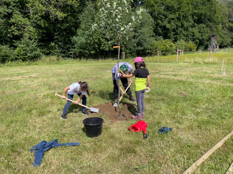 Акция по высадке деревьев в округе Марбург-Биденкопф
